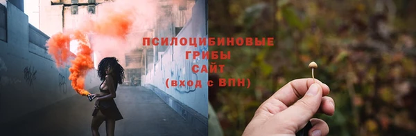 дмт Володарск