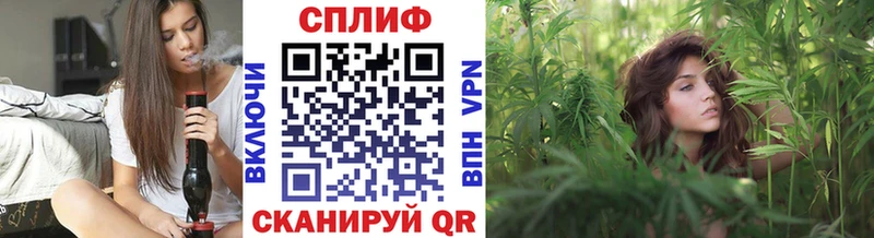 кракен как войти  Элиста  Канабис OG Kush 